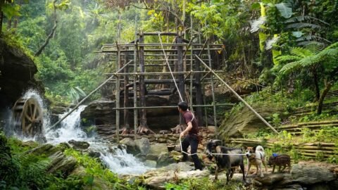 Building a Two-Story Frame by the Waterfall | Living Alone in the Forest with My Animal Family