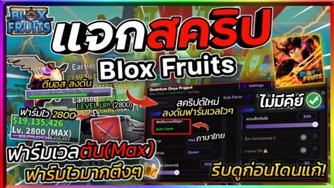 แจกสคริป Blox Fruits มือถือ ภาษาไทย ออโต้ฟาร์มเลเวล ลงดัน ฟามมาส ฟามกระดูก,เค้ก [ไม่มีคีย์]🔥