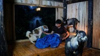Building a Wooden Bed with a Waterfall View | Journey of Building a Bushcraft House by the Waterfall