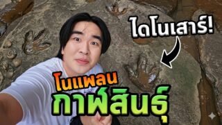 กาฬสินธุ์โนแพลนเจอฟอสซิลเยอะที่สุดในชีวิต!
