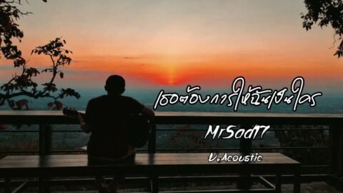 เธอต้องการให้ฉันเป็นใคร – MrSad17 ( V.Acoustic )