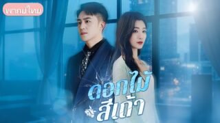 แต่งงาน 3 ปีสู้ลูกบุญธรรมไม่ได้! เมียหลวงความจำเสื่อมตาสว่าง เลิกหลงผัวเย็นชาแล้วสะบัดบ๊อบหนีหาย