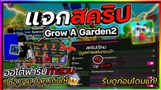 แจกสคริป Grow A Garden 2 อัปเดตใหม่ ออโต้เก็บเมล็ดเมก้า,รุ้ง,ทอง ดูมูลค่าผล ดูเวลาเมล็ดล่วงหน้า🌱🌶️