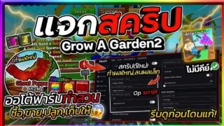 แจกสคริป Grow A Garden 2🌱ทำผลใหญ่ ลบผลเล็ก,ออโต้เก็บเมล็ดรุ้ง,ทอง ส่งจดหมาย [ไม่มีคีย์]🌤️