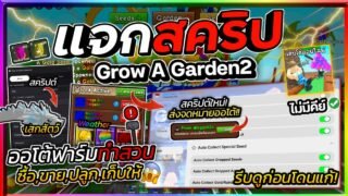 แจกสคริป Grow A Garden 2🌱ออโต้เก็บเมล็ดรุ้ง,ทอง ส่งจดหมาย,เทรดออโต้ เสกสัตว์ [ไม่มีคีย์]🌤️