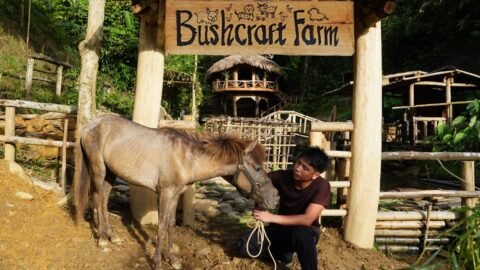 Welcoming a New Member to the Farm | Finishing the Horse Stable Frame & Setting Traps