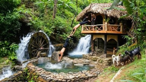 Building a Stone Swimming Pool Beneath the Waterfall | My Duck Flock Was Attacked by Wild Animals