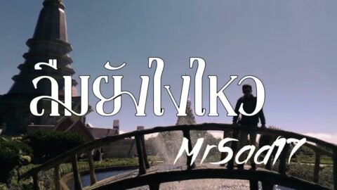 ลืมยังไงไหว – MrSad17 (Official Audio)