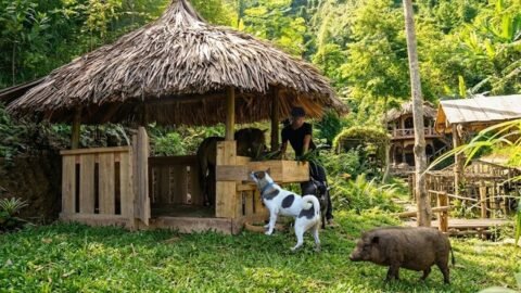 Building a Horse Stable at My Forest Farm | Night Crab Hunting in the Stream & Cooking.