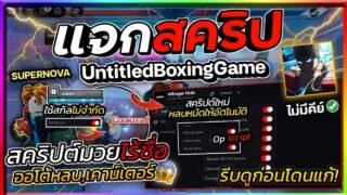 แจกสคริป Untitled Boxing มวยไร้ชื่อ อัปเดตใหม่ ออโต้หลบหมัด กดสกิลได้ไม่จำกัด ใช้ได้ทุกสไตล์ เสกนวม🥊