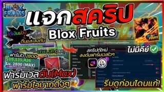 แจกสคริป Blox Fruits มือถือ อัปเดตใหม่ ออโต้ฟาร์มเลเวล ลงดัน ฟามกระดูก,เค้ก รวมมอนโหดๆ [ไม่มีคีย์]🔥