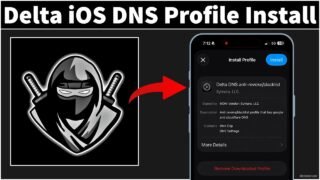 Delta Executor iOS DNS Profile Anti-Revoke/Anti-Blacklist | Delta iOS DNS Profile Download & Install