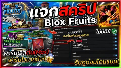 แจกสคริป Blox Fruits มือถือ ภาษาไทย ออโต้ฟาร์มเลเวล ลงดัน ฟามมาส ฟามกระดูก,เค้ก [ไม่มีคีย์] RedZHUB
